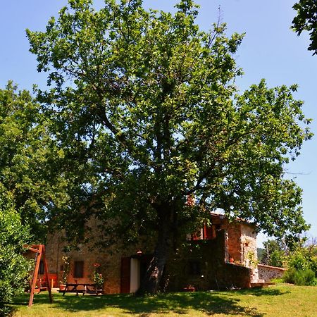 Bed and Breakfast Il Venaio Massa Marittima Zewnętrze zdjęcie