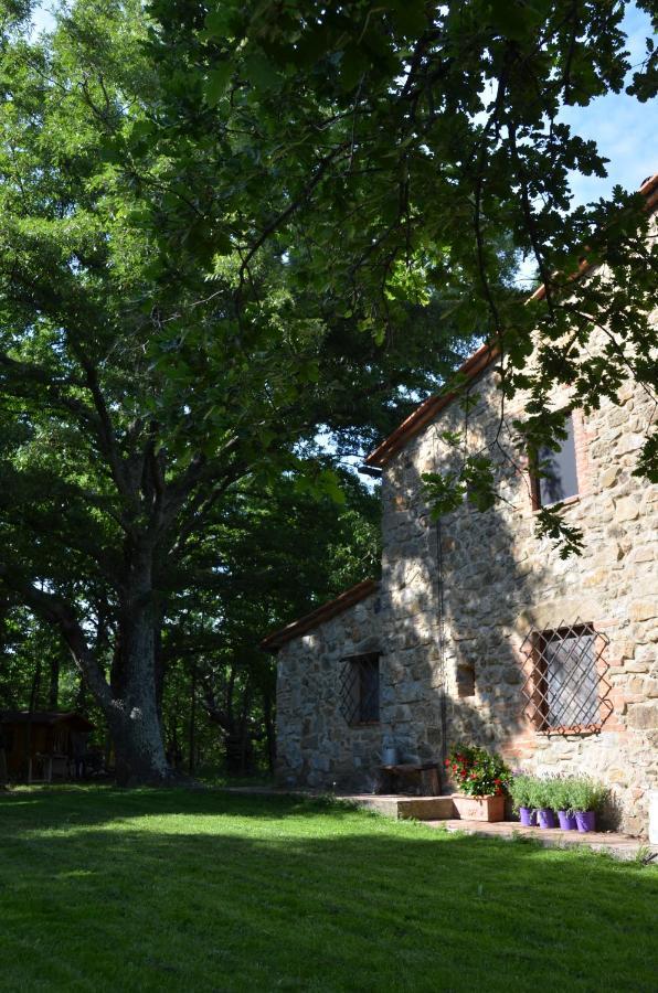 Bed and Breakfast Il Venaio Massa Marittima Zewnętrze zdjęcie