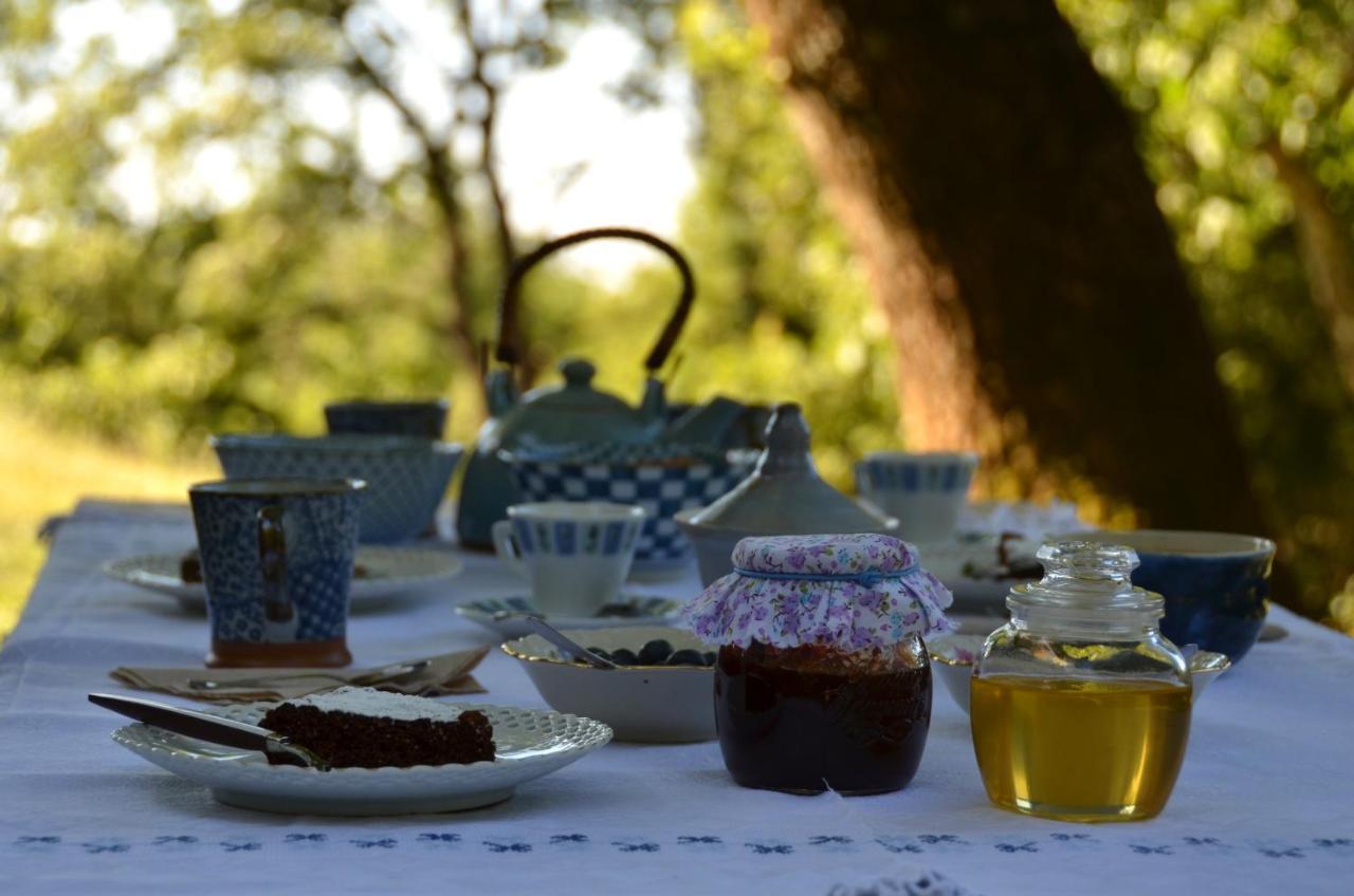 Bed and Breakfast Il Venaio Massa Marittima Zewnętrze zdjęcie