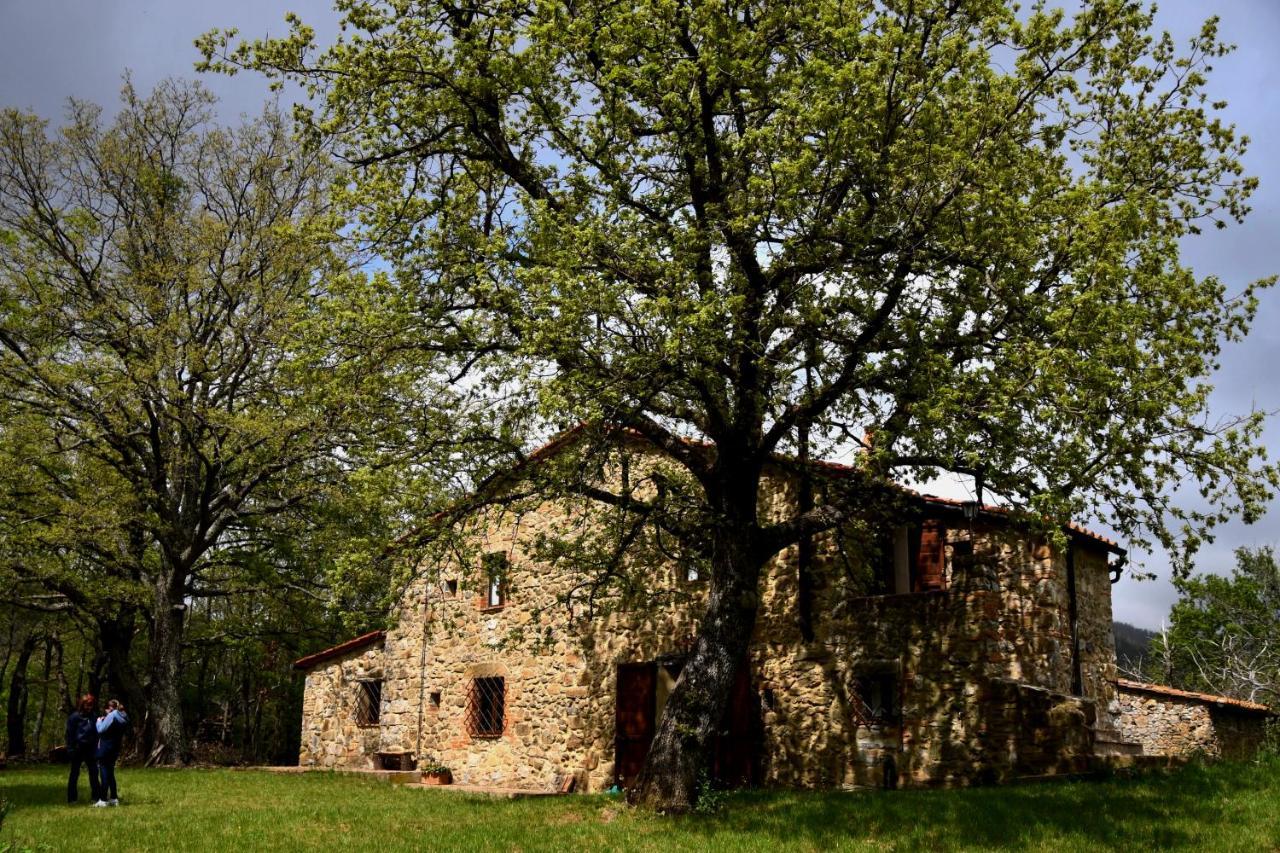 Bed and Breakfast Il Venaio Massa Marittima Zewnętrze zdjęcie