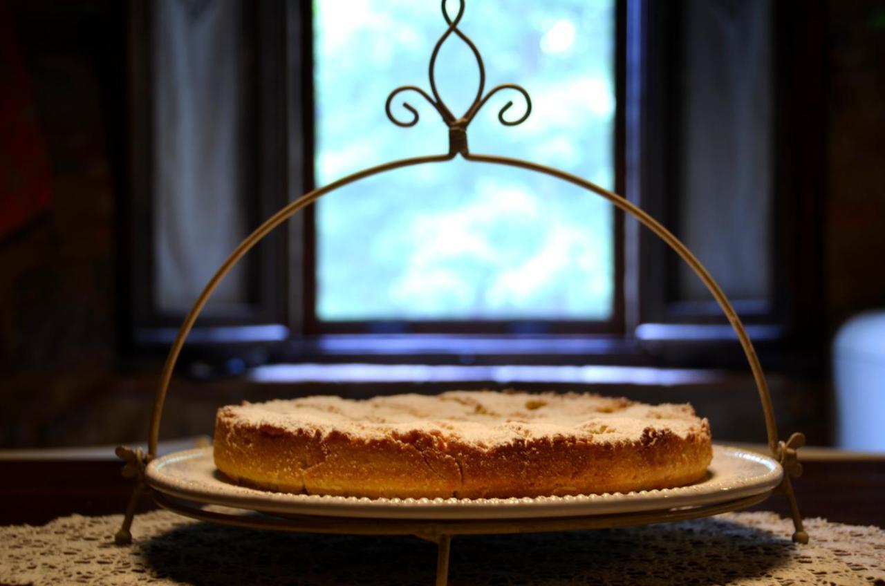 Bed and Breakfast Il Venaio Massa Marittima Zewnętrze zdjęcie
