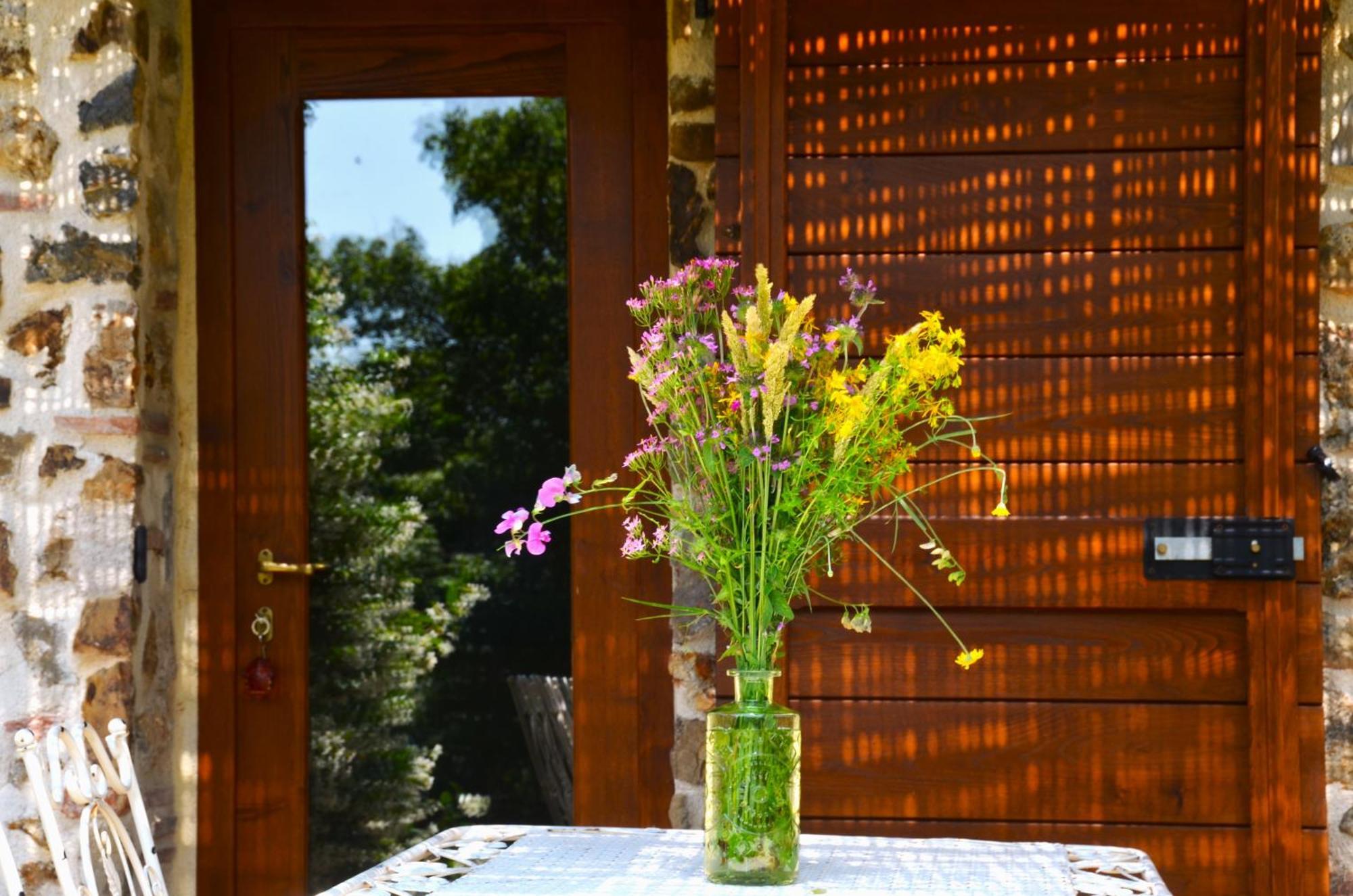 Bed and Breakfast Il Venaio Massa Marittima Zewnętrze zdjęcie